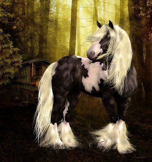 516x550 Beautiful Horse Painting. Gypsy Gold - Gypsy Horse Painting
