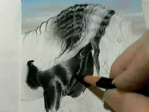 480x360 Painting A Day Demonstration - Gypsy Horse Painting