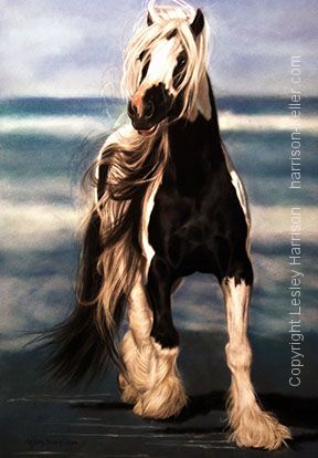 288x414 Sea Gypsy - Gypsy Horse Painting