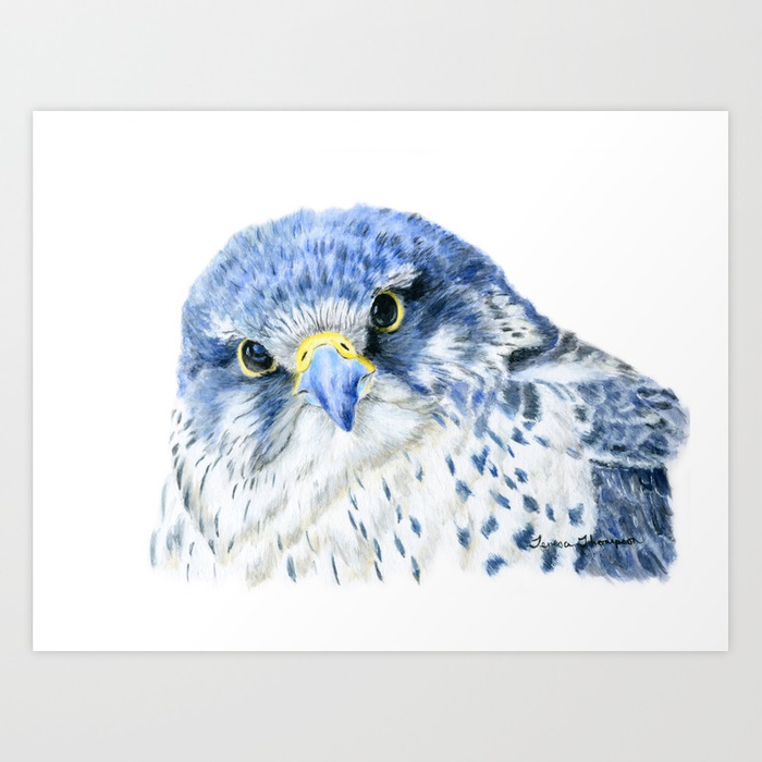 700x700 Here's Looking At You Painting Of A Gyrfalcon By Teresa Thompson - Gyrfalcon Painting