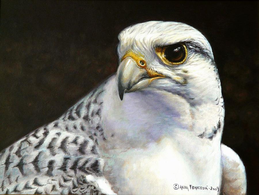 900x678 White Gyrfalcon Painting By Anna Franceova - Gyrfalcon Painting