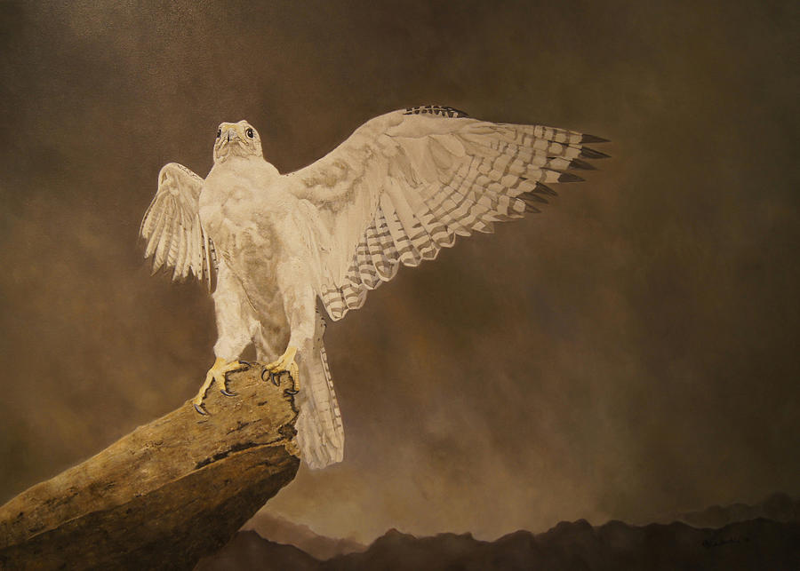 900x643 White Gyrfalcon Painting By Erna Goudbeek - Gyrfalcon Painting