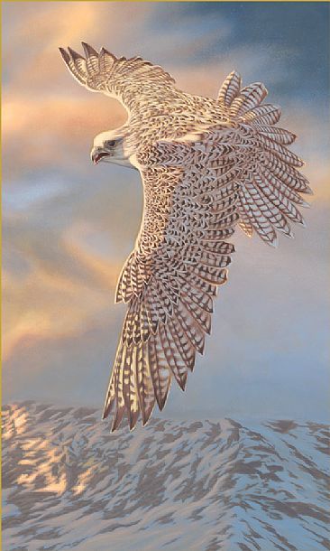 366x610 Painterly Qualia Gyrfalcon Bird, Wildlife And Kestrel - Gyrfalcon Painting