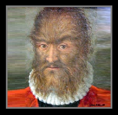 500x489 Beauty Will Save, Viola, Beauty In Everything - Hairy Baby Painting