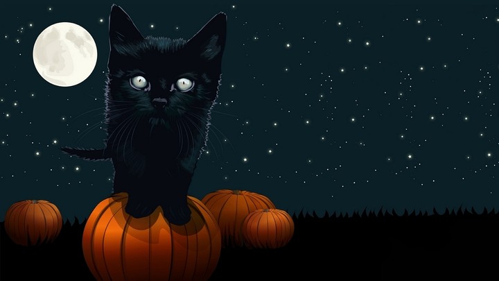 720x405 Black Cat Painting Halloween Wallpaper By Ladygaga - Halloween Cat Painting