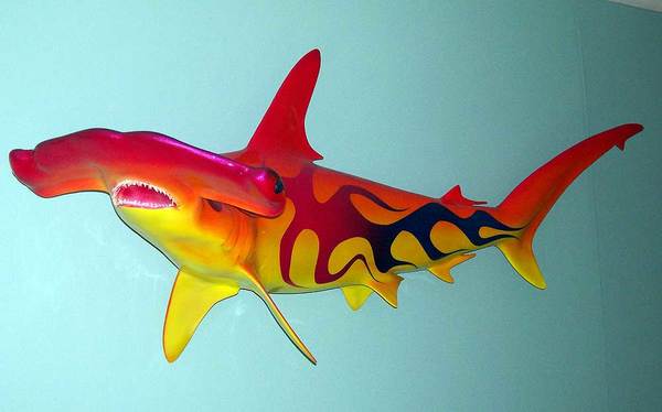 600x374 Hammerhead Shark 54 Inches Full Mount With Custom Flame Paint - Hammerhead Shark Painting