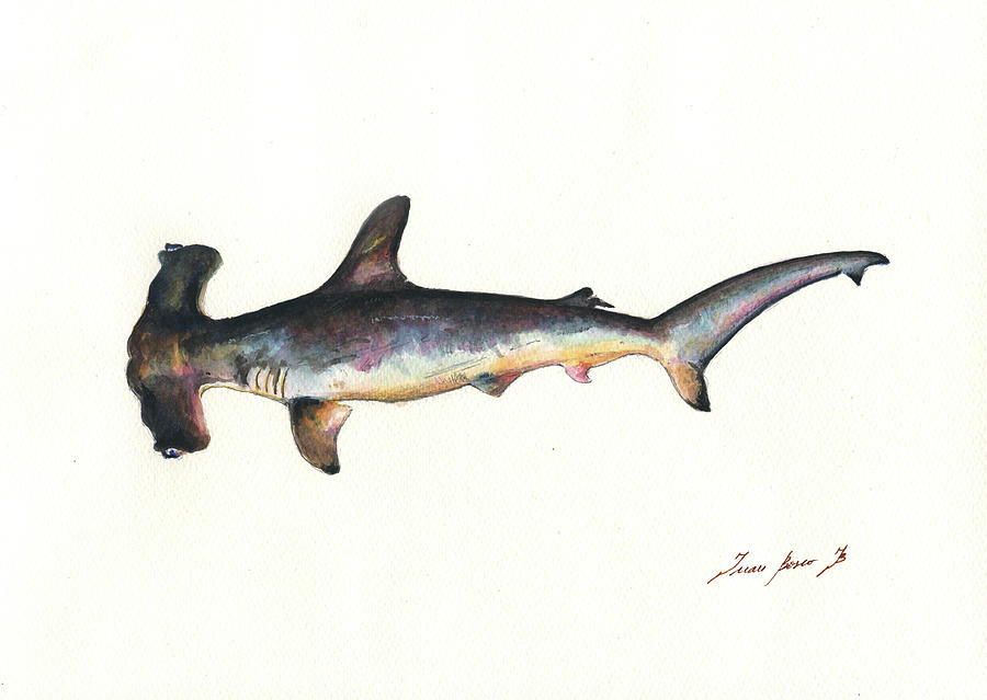 900x639 Hammerhead Shark Painting By Juan Bosco - Hammerhead Shark Painting