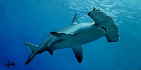 600x300 Hammerhead Shark Painting By Nyland Locals Day - Hammerhead Shark Painting