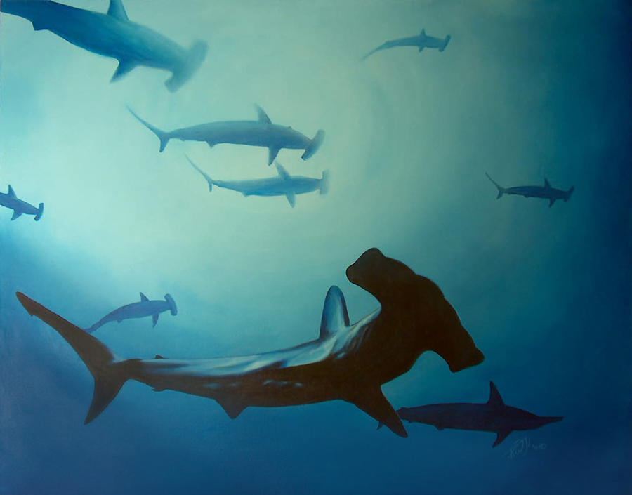 Hammerhead Shark Painting at PaintingValley.com | Explore collection of ...