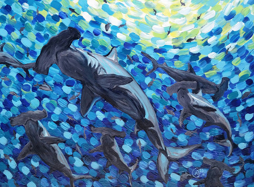 498x366 Original Hammerhead Shark Painting - Hammerhead Shark Painting