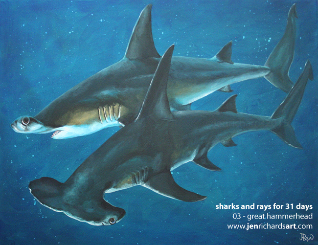 650x501 Sharks And Rays For 31 Days The 31 Jen Richards - Hammerhead Shark Painting