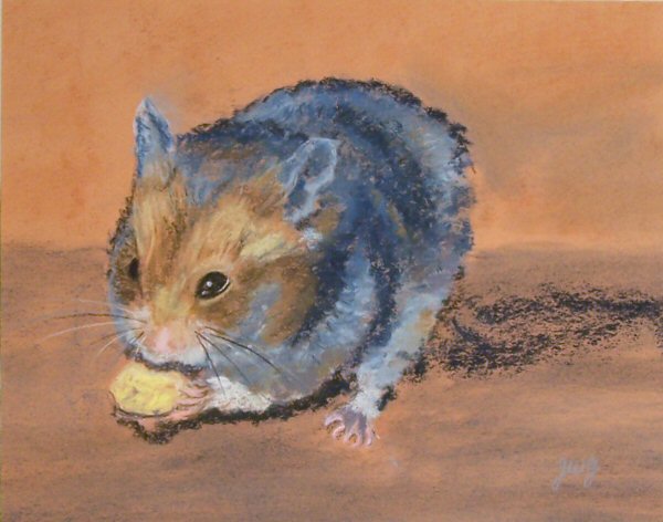 600x472 Hudson Valley Painter Blog Archive Pet Hamster, Pastel - Hamster Painting