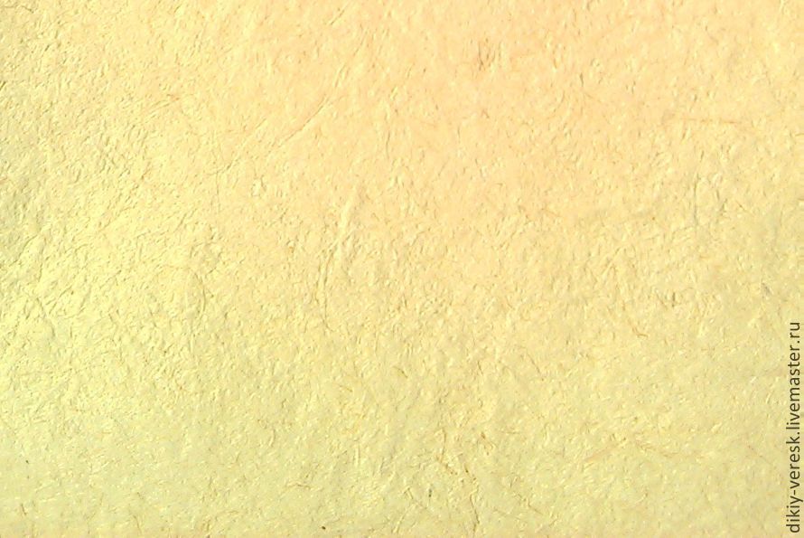 890x595 Handmade Paper For Painting. Wild Grasses With Lemon Shop Online - Handmade Paper Painting