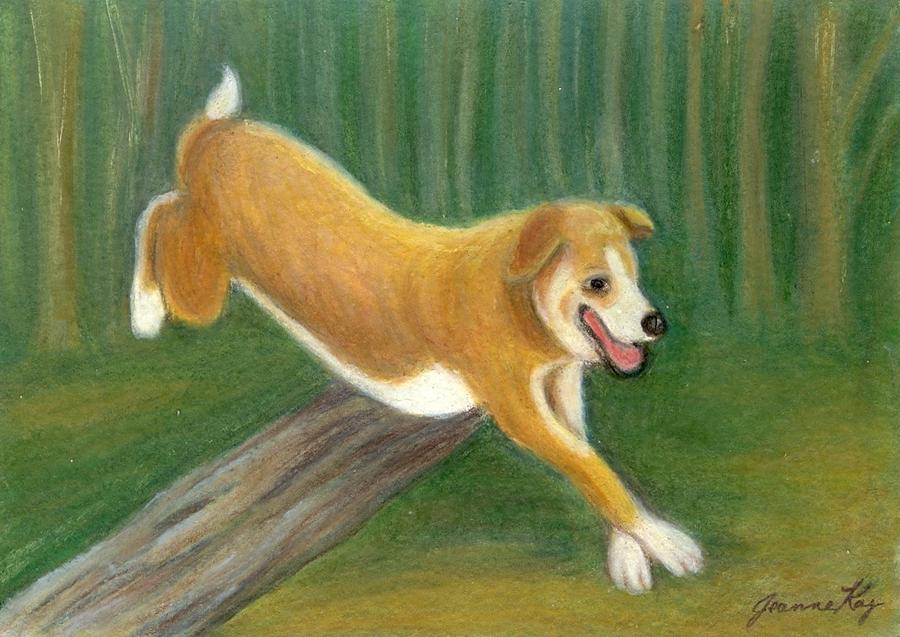 900x637 Happy Dog Running Painting By Jeanne Kay Juhos - Happy Dog Painting