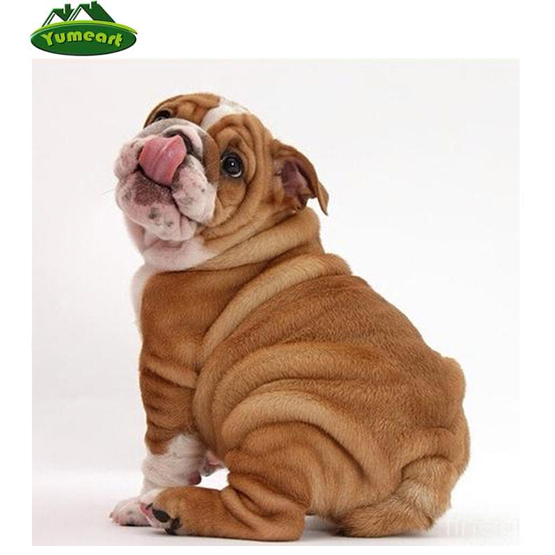 800x800 5d Diamond Painting Pug Dog Picture Diy New Needlework Cross - Happy Dog Painting