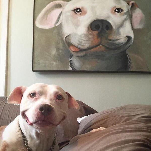 600x600 A Happy Dog With His Own Painting Aww - Happy Dog Painting