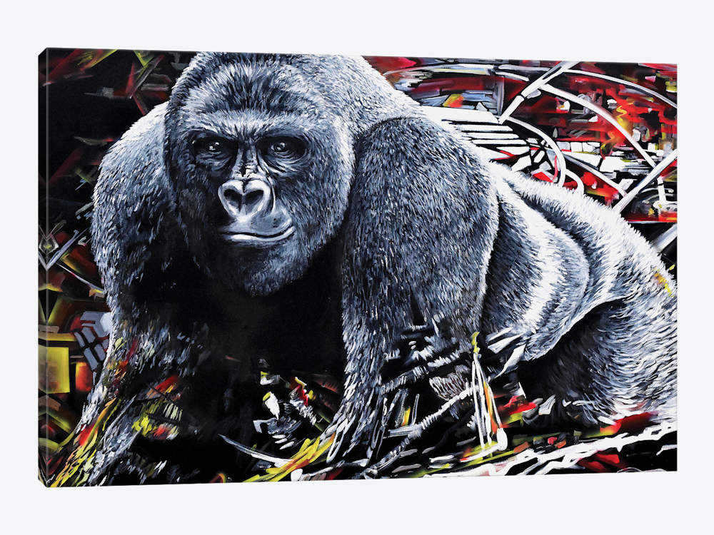 1000x750 Harambe Canvas Wall Art By Piero Manrique Icanvas - Harambe Painting