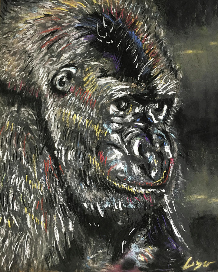 720x900 Harambe Pastel By Patrick Geyser - Harambe Painting