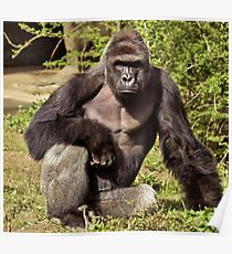 210x230 Harambe Wall Art Redbubble - Harambe Painting