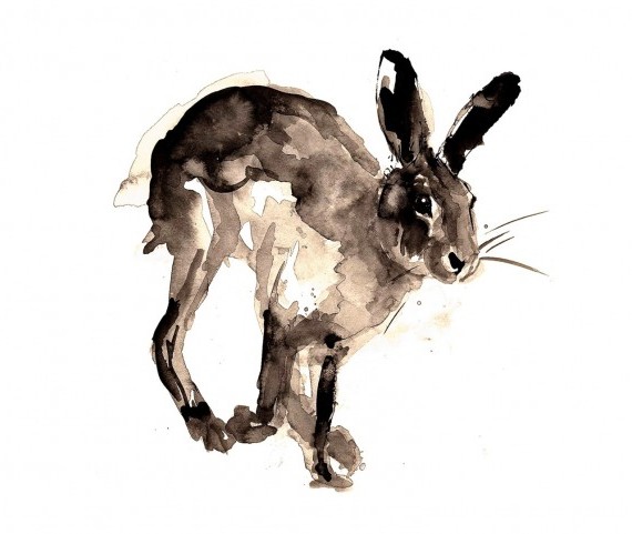 570x481 Zaza Shelley Original Art Hare Painting Watercolour Painting - Hare Painting
