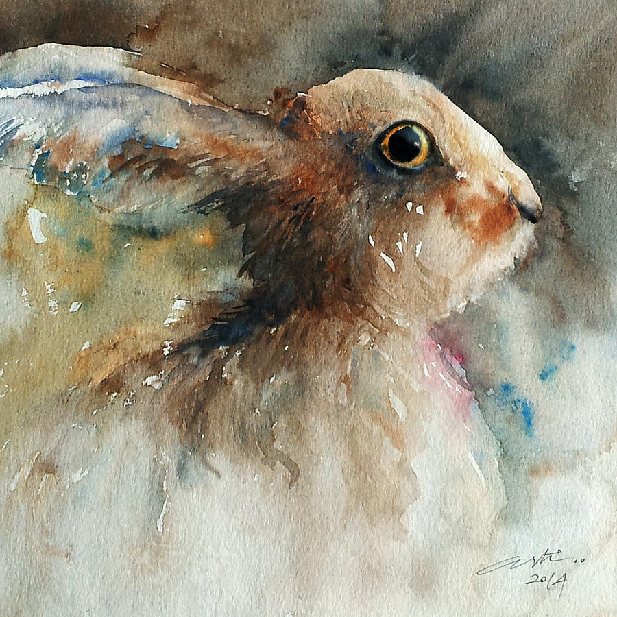 900x900 Dusky Brown Hare Painting By Arti Chauhan - Hare Painting