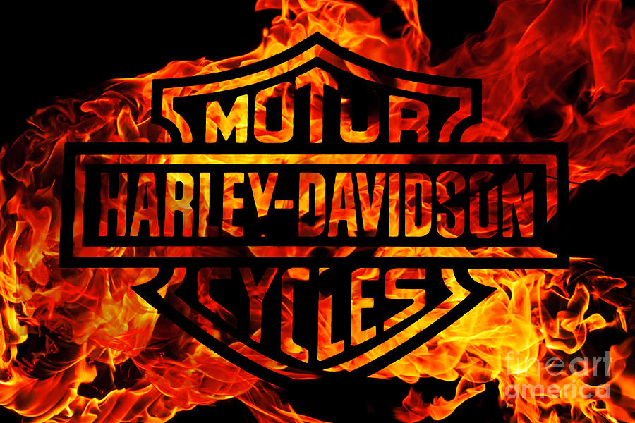 900x600 Harley Davidson Logo Flames Digital Art By Randy Steele - Harley Davidson Logo Painting