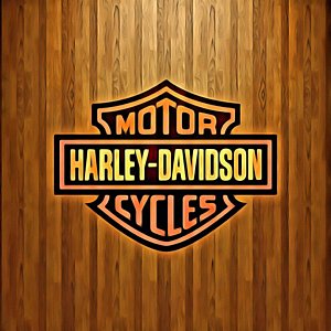 300x300 Harley Davidson Logo Paintings Fine Art America - Harley Davidson Logo Painting