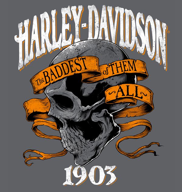 600x632 982 Best T - Harley Davidson Logo Painting