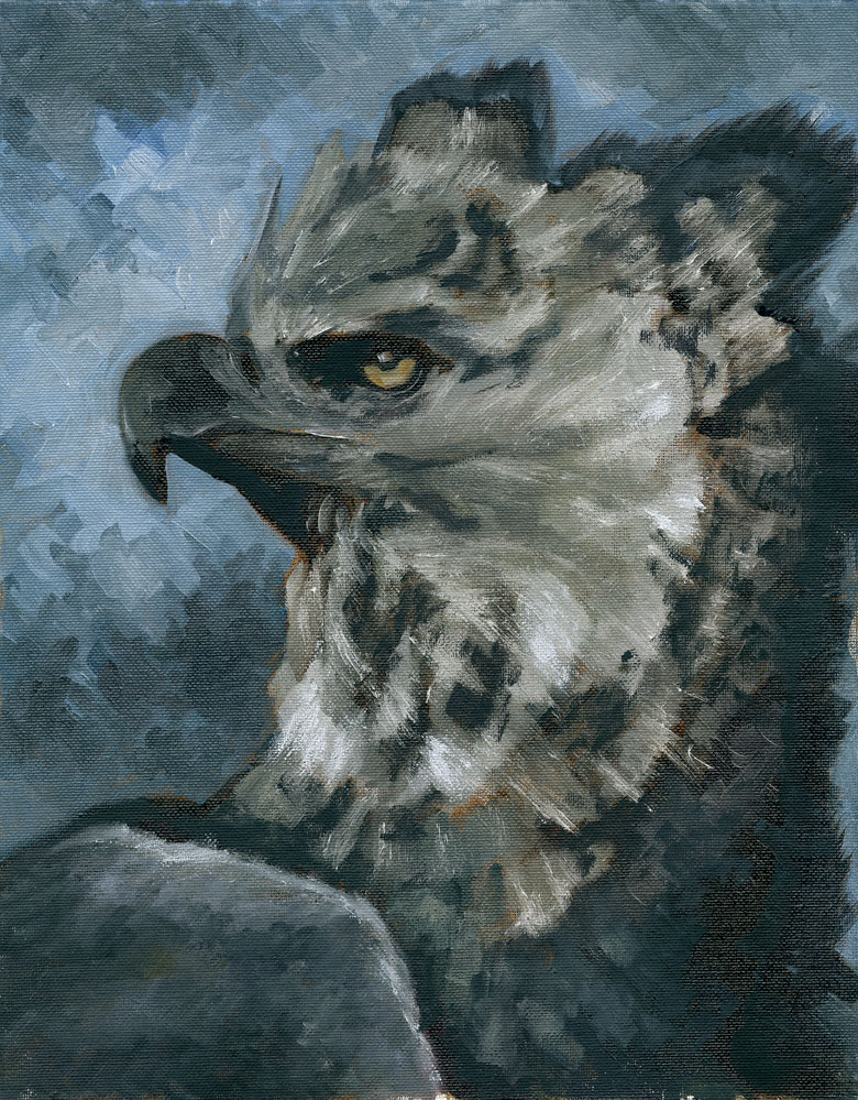 780x999 Harpy Eagle By Edroeder - Harpy Painting
