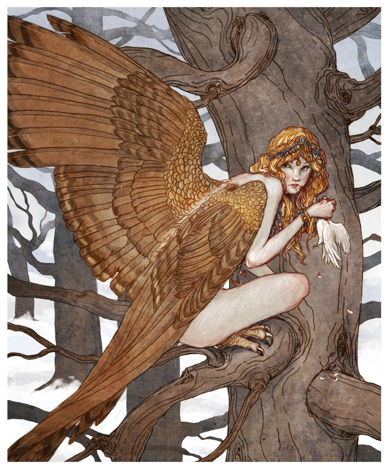 800x967 Harpy By Bluefooted - Harpy Painting