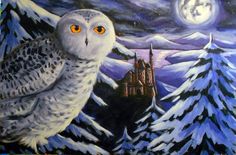 Harry Potter Owl Painting