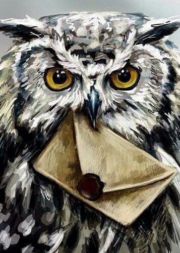 357x500 Hedwig Harry - Harry Potter Owl Painting