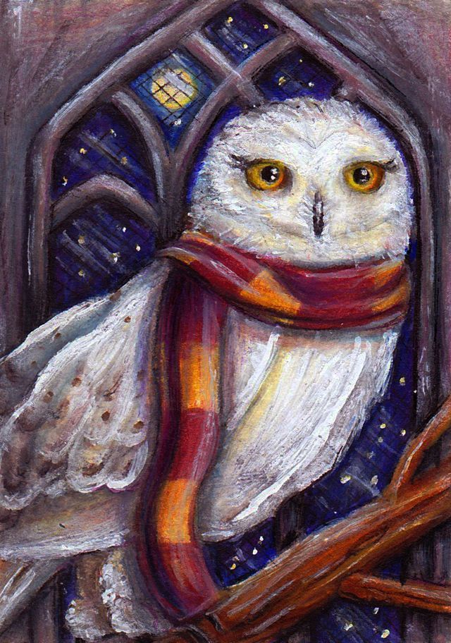640x912 Pin By Meghan Priestley On Harry Potter Harry Potter - Harry Potter Owl Painting