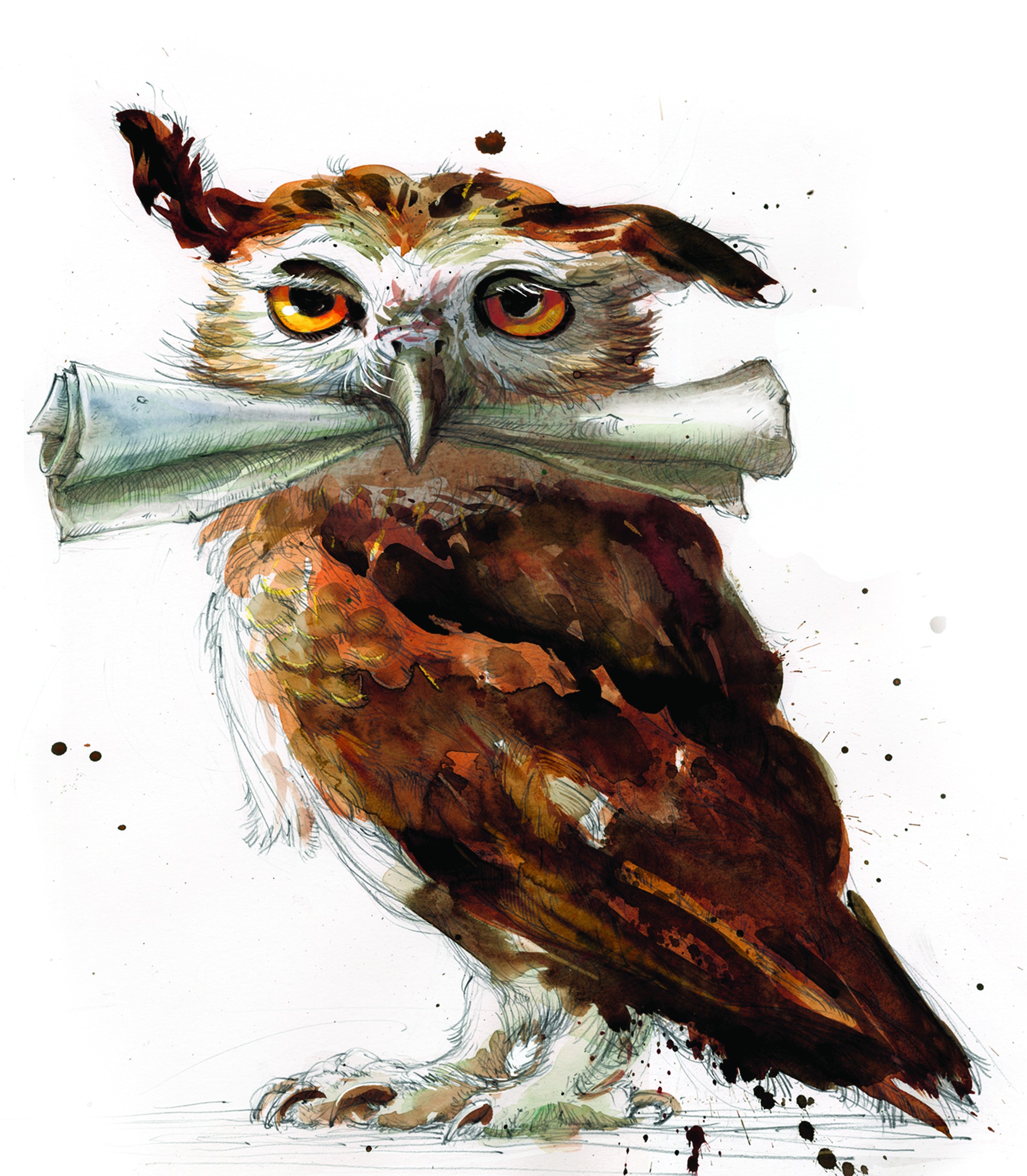 2152x2464 Wallpaper 2152x2464 Px, Digital Art, Fantasy Art, Harry Potter - Harry Potter Owl Painting