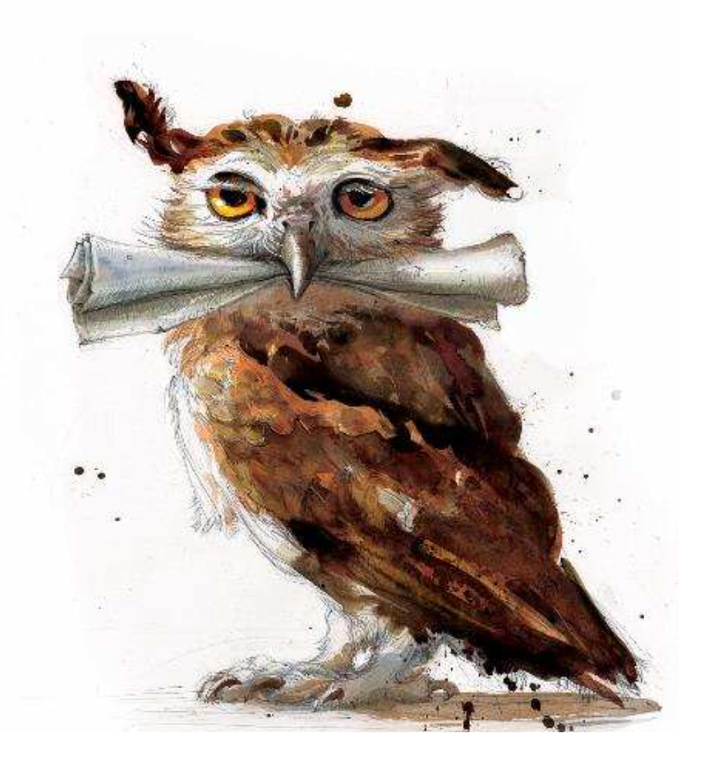 1012x1092 An Owl From The Harry Potter And The Philosopher's Stone - Harry Potter Owl Painting