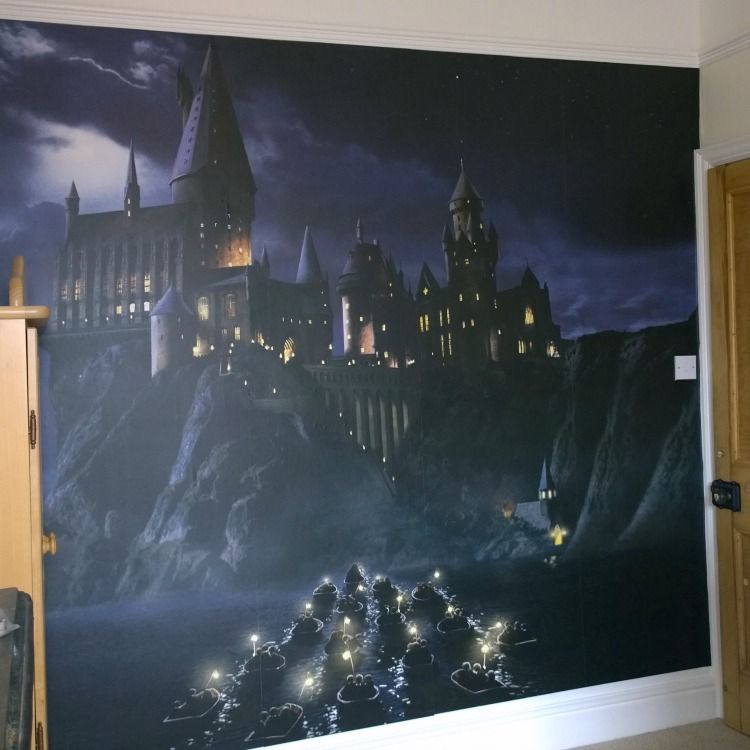 750x750 In Need Of A Project. Wall Murals, Harry Potter - Harry Potter Wall Painting