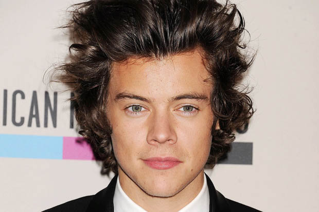 620x413 Harry Styles Splashes The Cash Spending On A Painting - Harry Styles Painting
