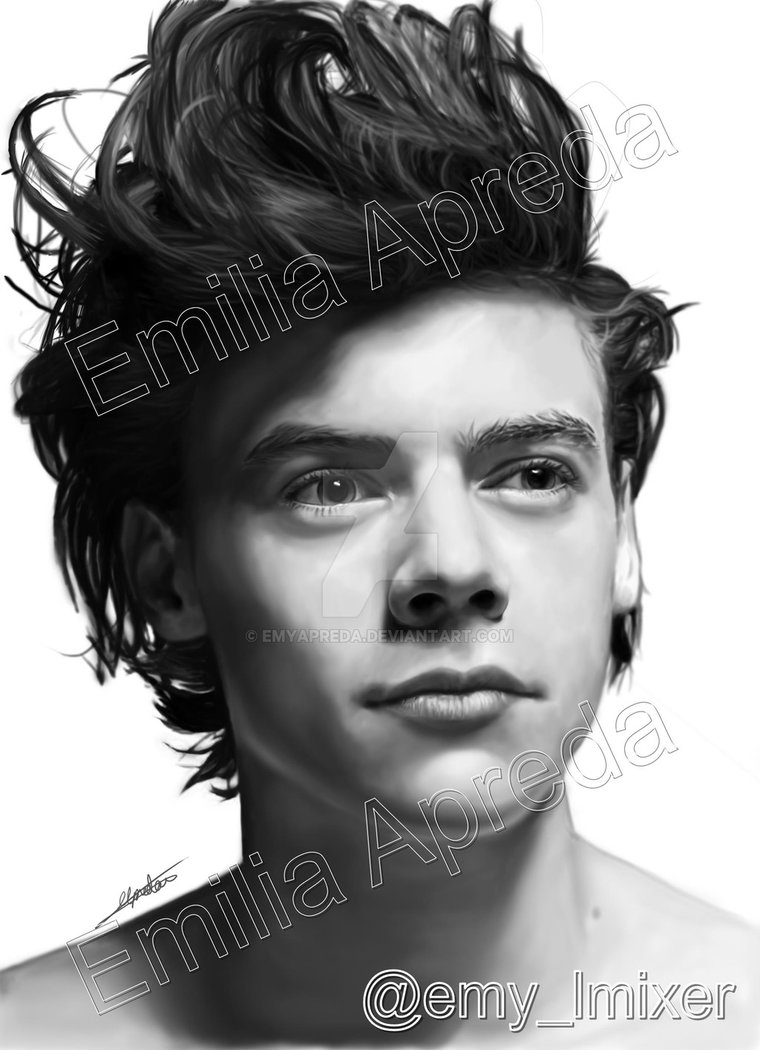760x1050 Harry Styles Digital Painting By Emyapreda - Harry Styles Painting