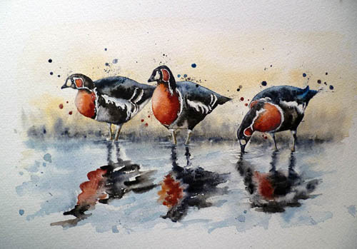 500x349 Wild Birds - Harvey Duck Painting