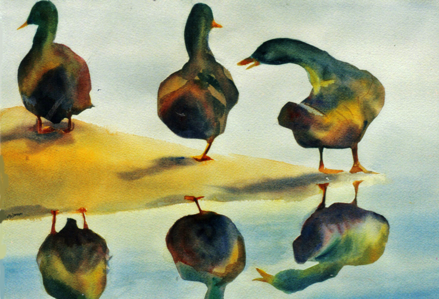Harvey Duck Painting at Explore collection of