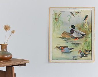 340x270 Educational Prints Etsy - Harvey Duck Painting