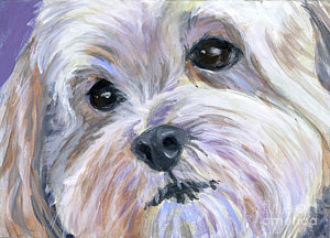 300x216 Havanese Art Pixels - Havanese Painting