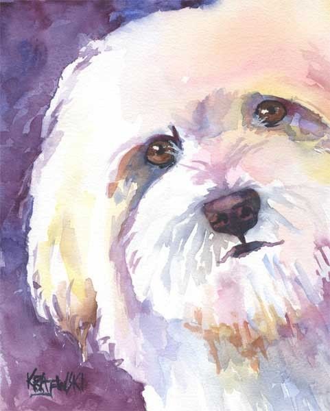 481x600 Havanese Art Print Of Original Watercolor Painting - Havanese Painting