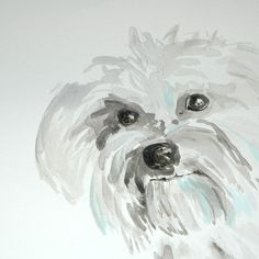 236x236 Havanese Face Detail Of A Da Vinci Style Drawing Animals Pets - Havanese Painting