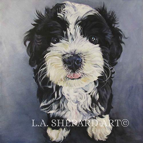 500x500 A Havanese Dog Art Portrait Print Of An La Shepard - Havanese Painting