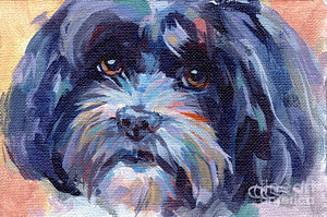 300x199 Havanese Posters Fine Art America - Havanese Painting