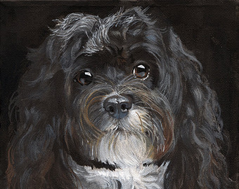340x270 Old Scratch Halloween Jack O'Lantern Fine Art Print - Havanese Painting