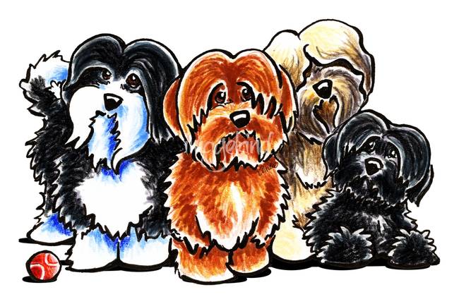 650x431 Stunning Havanese Artwork For Sale On Fine Art Prints - Havanese Painting