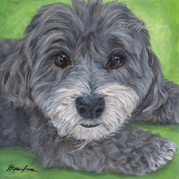 570x570 Custom Pet Portrait, Havanese Art, Dog Painting From A Photo, 8x8 - Havanese Painting