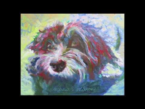 480x360 Havanese Dog Painting By Marcia Sandmeyer Wilson Oil On Canvas - Havanese Painting